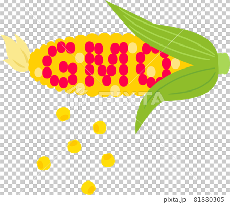 轉基因玉米 81880305