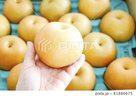箱にたくさん入った梨 箱にたくさん入った梨 81880675