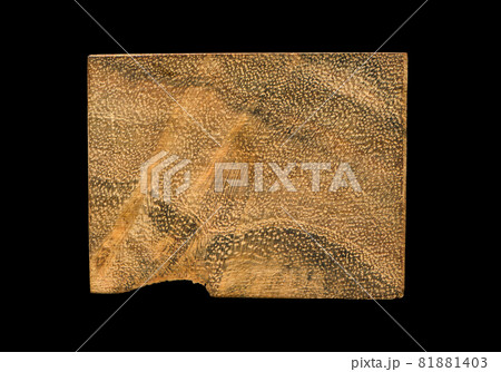 Walnut wood, can be used as background, wood grain texture 81881403