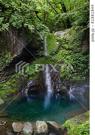 栃木県/ 苔鮮やかな 幻といわれる「おしらじの滝」（滝の水枯れ） 81881844