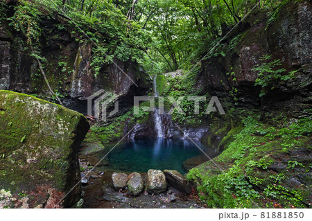栃木県/ 苔鮮やかな 幻といわれる「おしらじの滝」(滝の水枯れ) 栃木県/ 苔鮮やかな 幻といわれる「おしらじの滝」(滝の水枯れ) 81881850