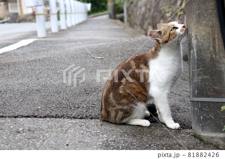 匂いチェック 匂いチェック 81882426