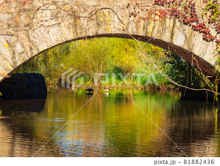 秋イメージ 石橋と紅葉の水鏡 秋イメージ 石橋と紅葉の水鏡 81882436