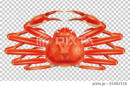 雪蟹圖 81882516