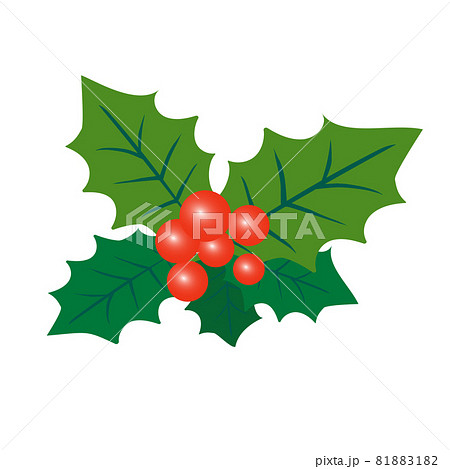 ギザギザしている五枚葉の真ん中に赤い実がついた柊のイラスト素材 8181