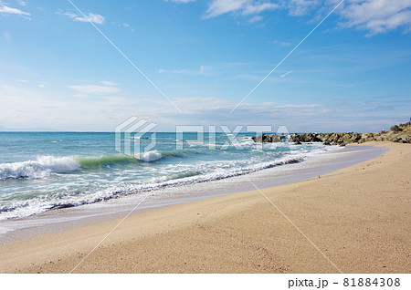根本海岸(千葉県南房総市) 根本海岸(千葉県南房総市) 81884308