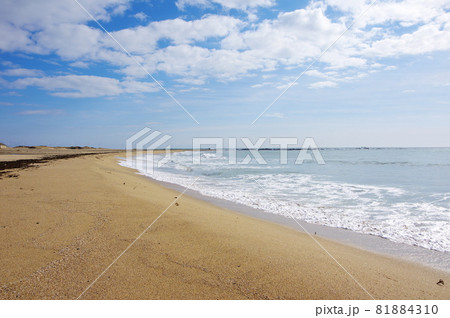 根本海岸（千葉県南房総市） 81884310