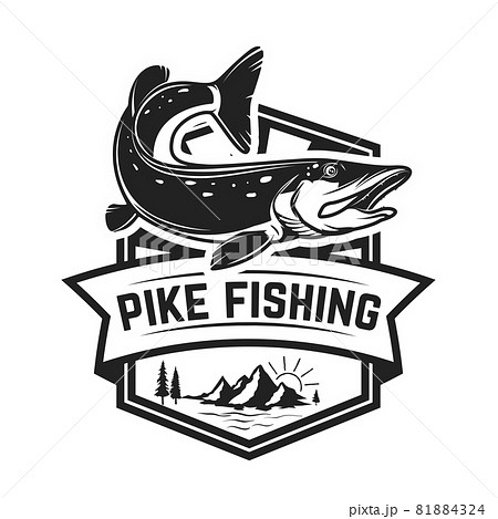 Fishing club. Emblem template with pike fish. Design element for logo, label, sign, poster. Vector illustration Fishing club. Emblem template with pike fish. Design element for logo, label, sign, poster. Vector illustration 81884324