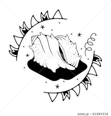 Doodle vector illustration with seashell. Isolated on a white background. Cute doodle illustrations. Doodle vector illustration with seashell. Isolated on a white background. Cute doodle illustrations. 81884338
