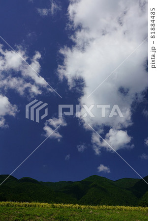 稲穂みのる秋の田と青空 稲穂みのる秋の田と青空 81884485