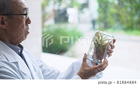 植物標本を持つ男性　植物学者　生物学 81884884