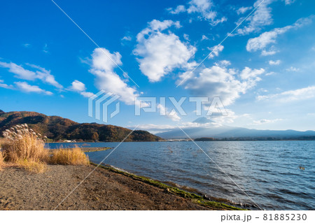 富士山と河口湖の秋の風景 81885230