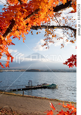 富士山と河口湖の紅葉　秋の風景 81885258