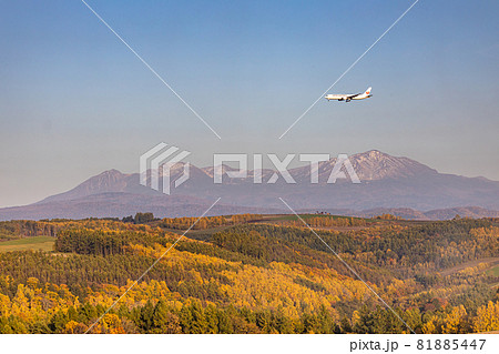 旭川空港にファイナルアプローチ・紅葉の美瑛を飛ぶ旅客機・日本航空ボーイング767 81885447