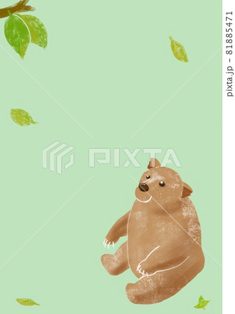座って枝を見上げる熊のイラスト素材 [81885471] - PIXTA