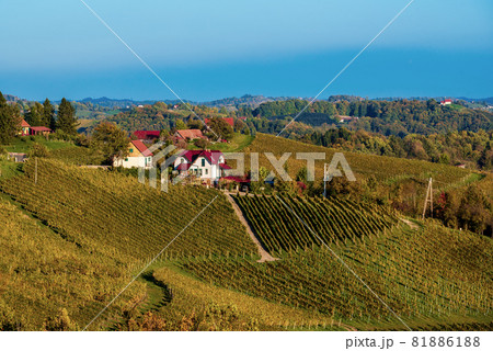 Wine road, Maribor, Slovenia Wine road, Maribor, Slovenia 81886188