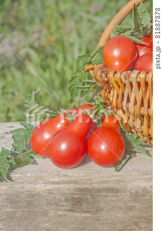 Fresh, ripe tomatoes on wood background 81887878