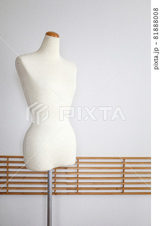 部屋の中のトルソー 部屋の中のトルソー 81888008