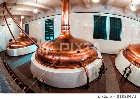 Vintage copper fermentation tanks. Brewery interior 81888473