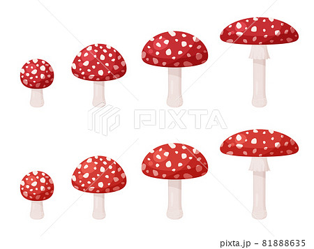 ベニテングタケのイラスト素材セット 81888635