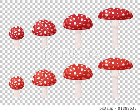 Fly agaric illustration material set 81888635