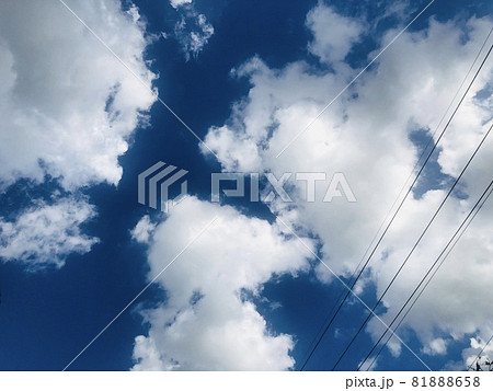 美しい青空を見上げる 81888658