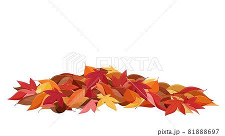 紅葉した落ち葉のイラストのイラスト素材
