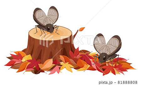 落ち葉と切り株の上にいる鈴虫のイラスト 秋 紅葉のイラスト素材 8108