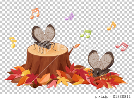 落ち葉と切り株の上で鳴く鈴虫のイラスト_秋_紅葉 81888811
