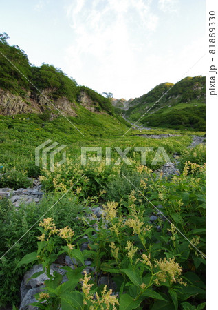 長野県松本市の日本アルプスにある上高地から行く日本百名山の夏季奥穂高岳のルート上の涸沢カールの朝焼け 長野県松本市の日本アルプスにある上高地から行く日本百名山の夏季奥穂高岳のルート上の涸沢カールの朝焼け 81889330