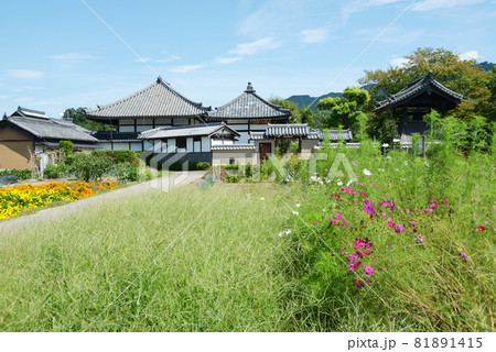 飛鳥寺　遠景　奈良県明日香村 81891415