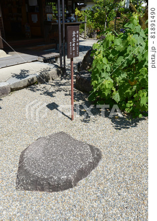 飛鳥寺 金堂礎石 奈良県明日香村 飛鳥寺 金堂礎石 奈良県明日香村 81891490