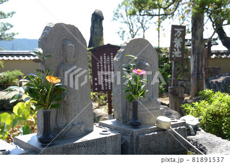 飛鳥寺　境内の石仏　奈良県明日香村 81891537