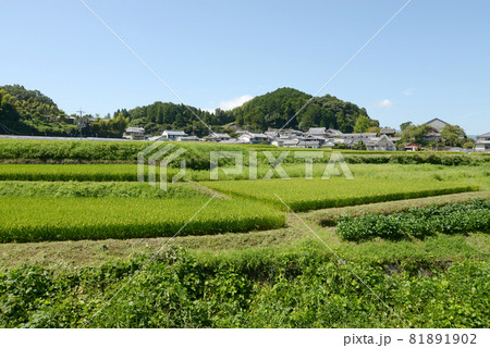 橘寺 明日香村からの遠景 奈良県明日香村 橘寺 明日香村からの遠景 奈良県明日香村 81891902