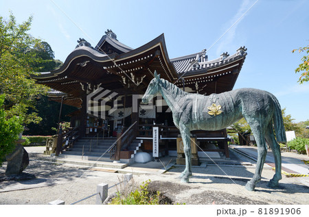 橘寺　本堂と黒駒　奈良県明日香村 81891906