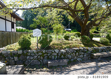 橘寺　蓮華塚　奈良県明日香村 81891909