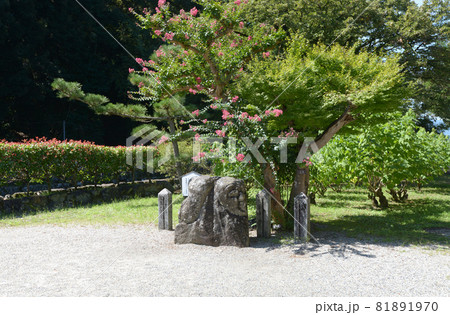 橘寺　二面石　奈良県明日香村 81891970
