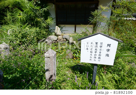 橘寺 阿字池 奈良県明日香村 橘寺 阿字池 奈良県明日香村 81892100