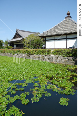 橘寺 放生池 奈良県明日香村 橘寺 放生池 奈良県明日香村 81892210