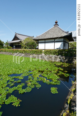 橘寺　放生池　奈良県明日香村 81892211
