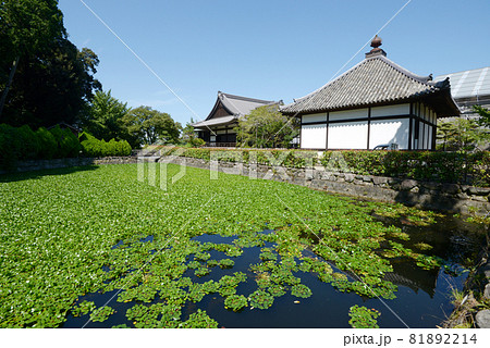 橘寺　放生池　奈良県明日香村 81892214