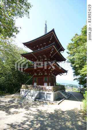 岡寺　三重塔　奈良県明日香村 81892419