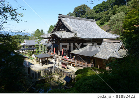 岡寺　本堂　奈良県明日香村 81892422