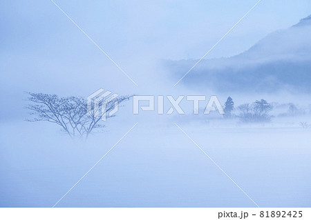 里山の雪景色（蒜山高原） 81892425