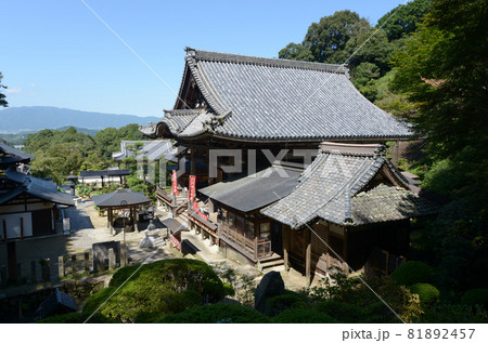 岡寺　本堂　奈良県明日香村 81892457