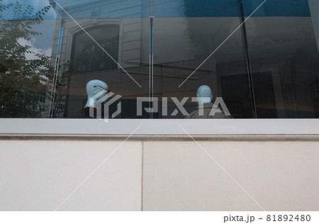 ファッションブティックのウインドー 81892480