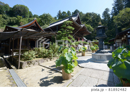 岡寺　境内　奈良県明日香村 81892482