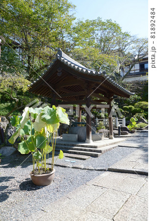 岡寺　手水舎　奈良県明日香村 81892484