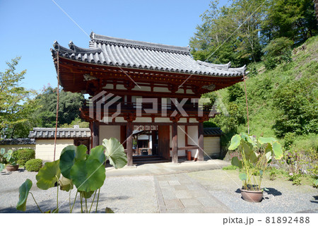 岡寺　仁王門　奈良県明日香村 81892488