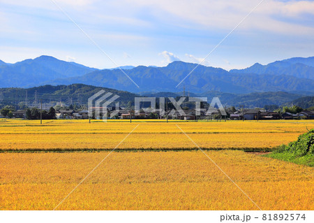 新潟県岩船国道290号線寄りの田園風景 81892574